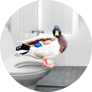 Hinten kackt die Ente Deutsche Vertriebstraining 